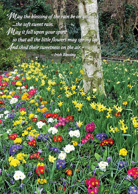 Merrion Square Get Well