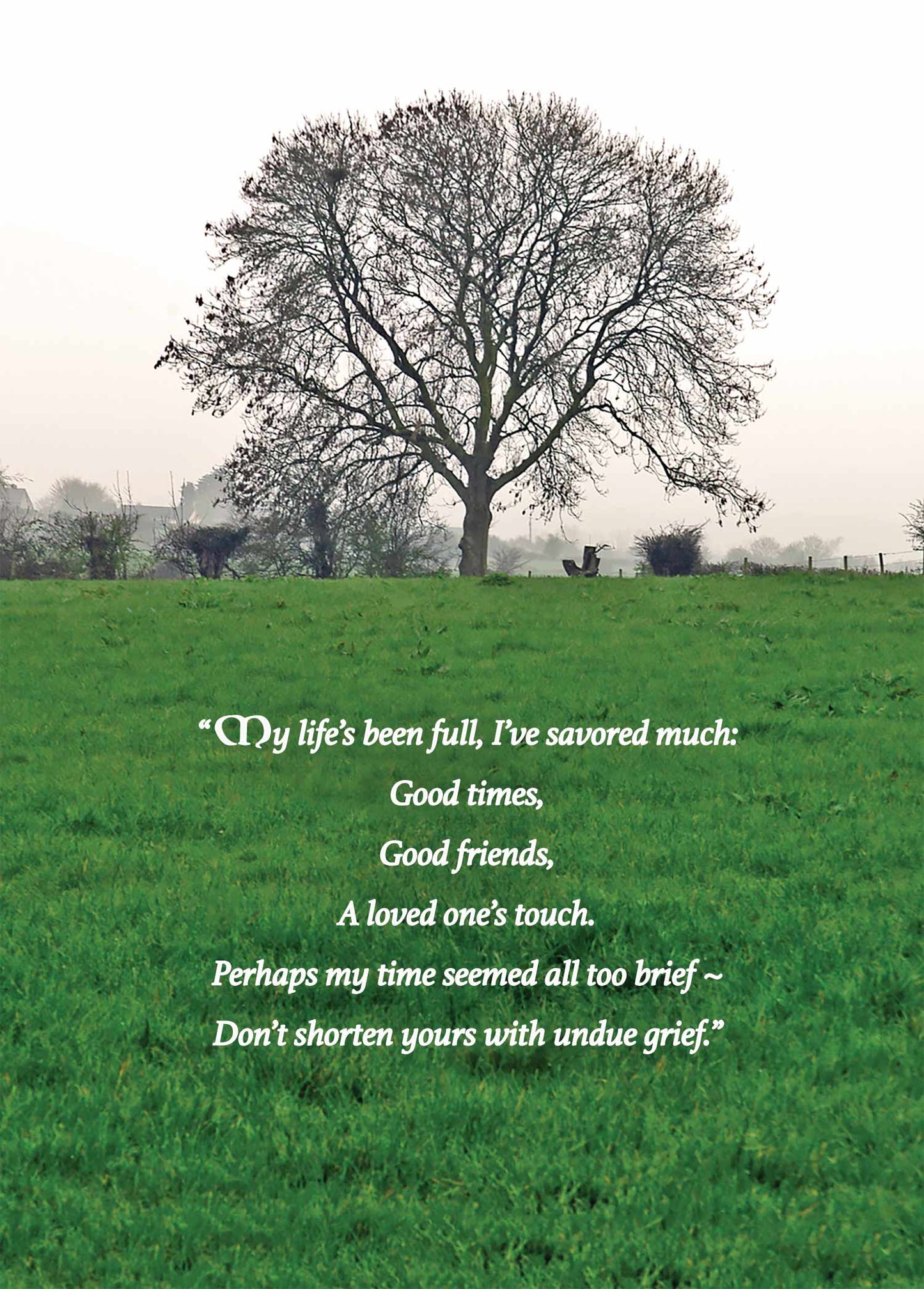 Tree Pasture-Sympathy
